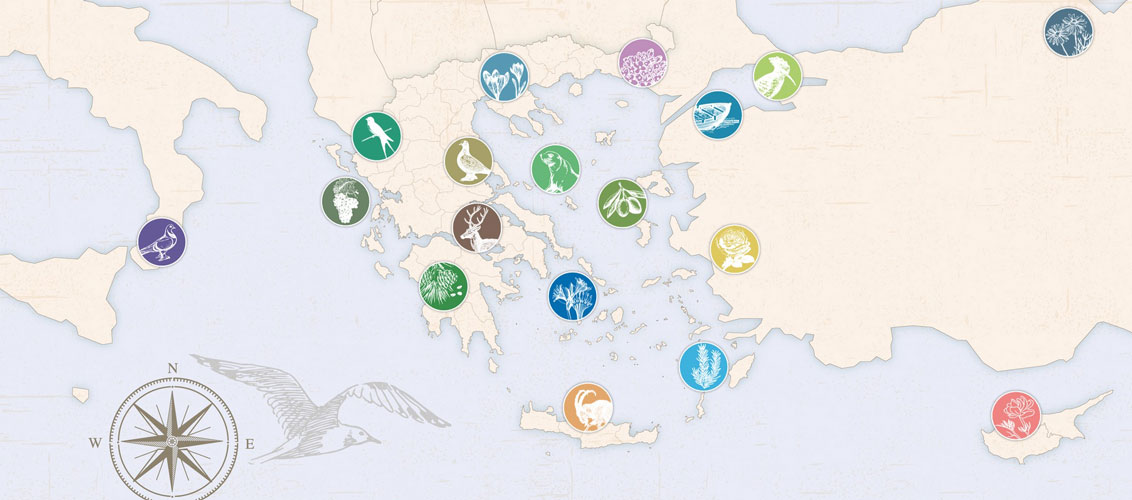ΟΦΥΠΕΚΑ