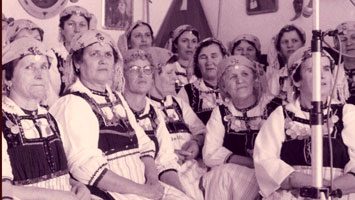 d20_07 Άσπρο τραντάφυλλο φορώ