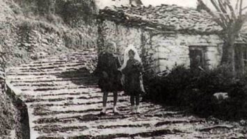 Σταύρι σταύρι βότανε